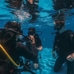 Discover Scuba Experience